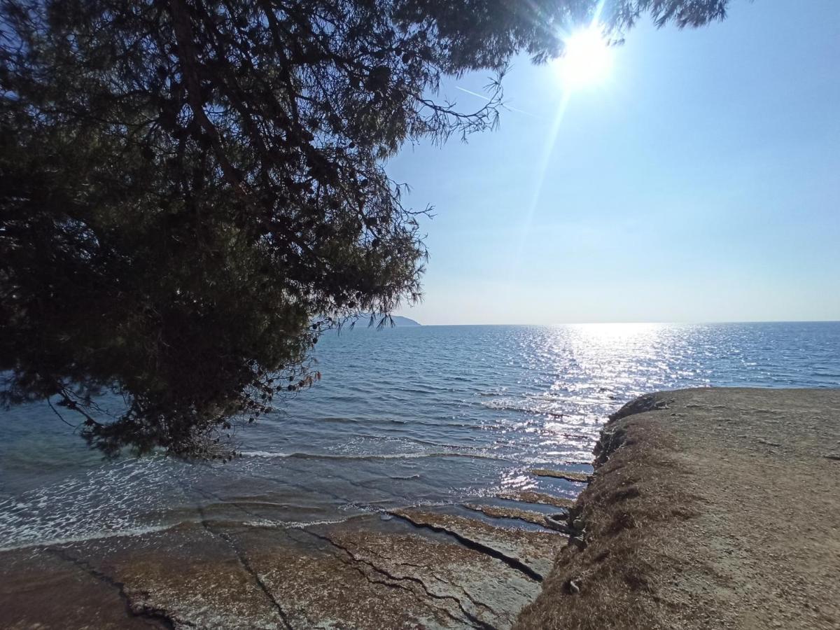 Ete Indien - Plage - Wifi - Host Provence Lägenhet La Ciotat Exteriör bild